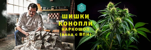 ПСИЛОЦИБИНОВЫЕ ГРИБЫ Новозыбков