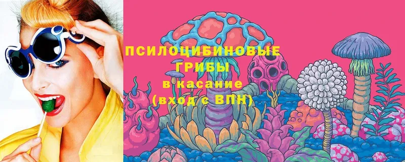 Псилоцибиновые грибы Psilocybine cubensis  нарко площадка официальный сайт  Нововоронеж  MEGA  